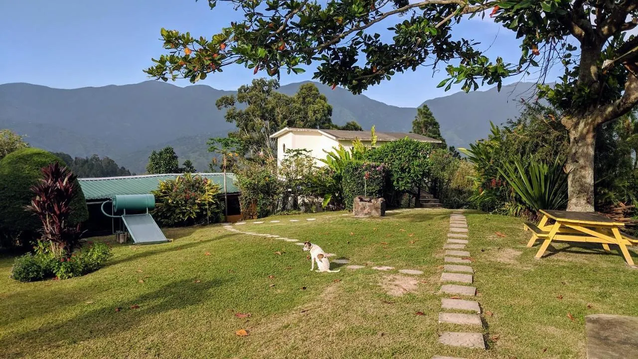 Lime Tree Farm, Blue Mountains Villa Mavis Bank Jamaica